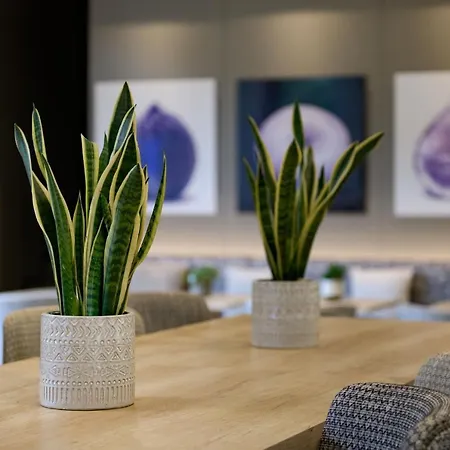 Ac Ciutat De By Marriott 4* Palma